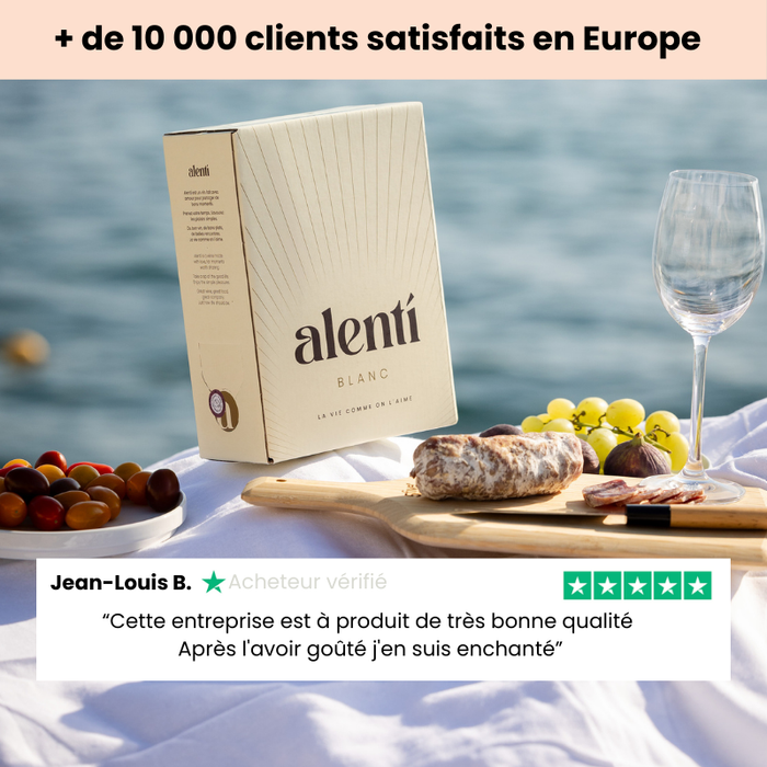 En quoi Alentí est différent des autres cubis : comparatif vin premium et vin bas de gamme
