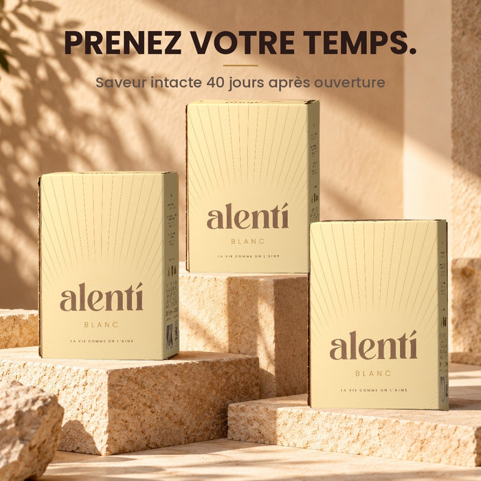 Cubi de vin blanc Alentí 3 L – photo 3