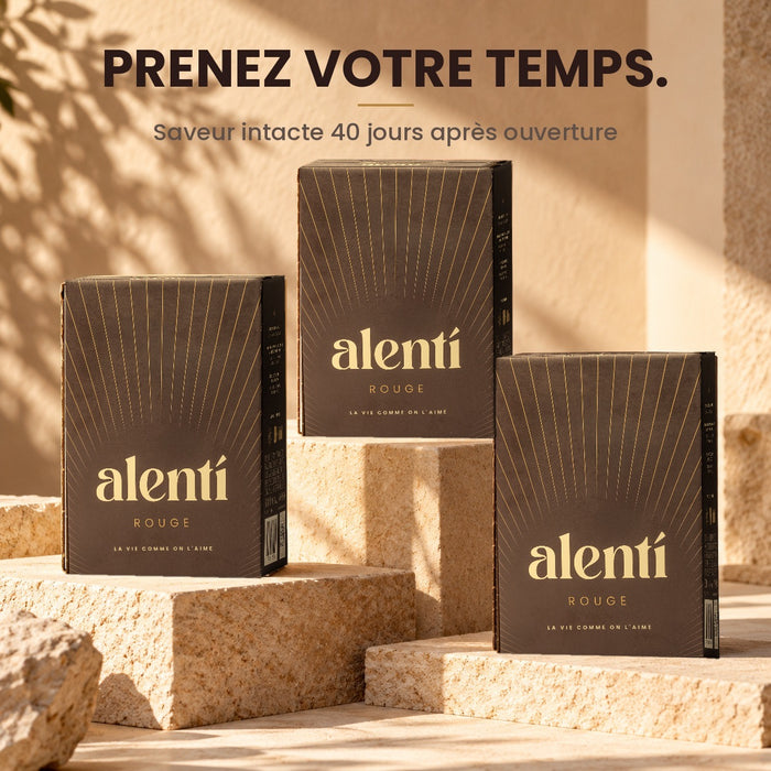Cubi de vin rouge Alentí 3 L – photo 3