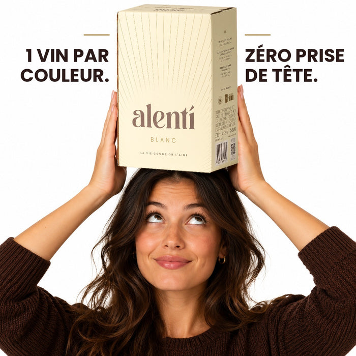Cubi de vin blanc Alentí 3 L – photo 2