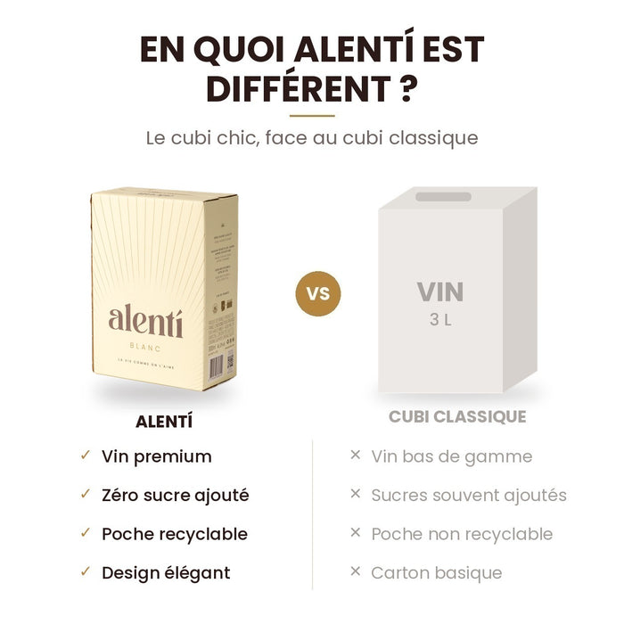 Cubi de vin blanc Alentí 3 L – photo 4