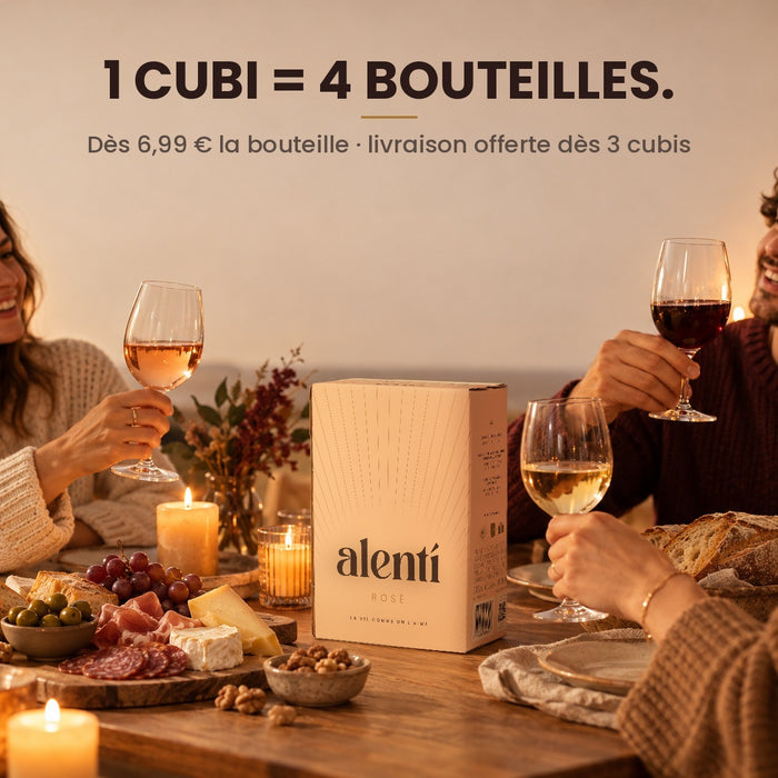 Cubi de vin rosé Alentí – coffret – photo 5