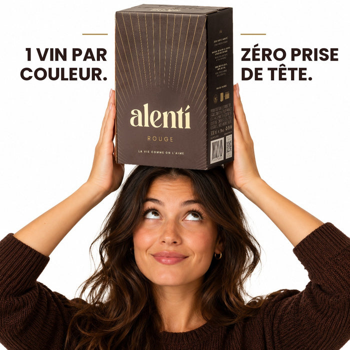 Coffret cubis de vin Alentí – photo 2